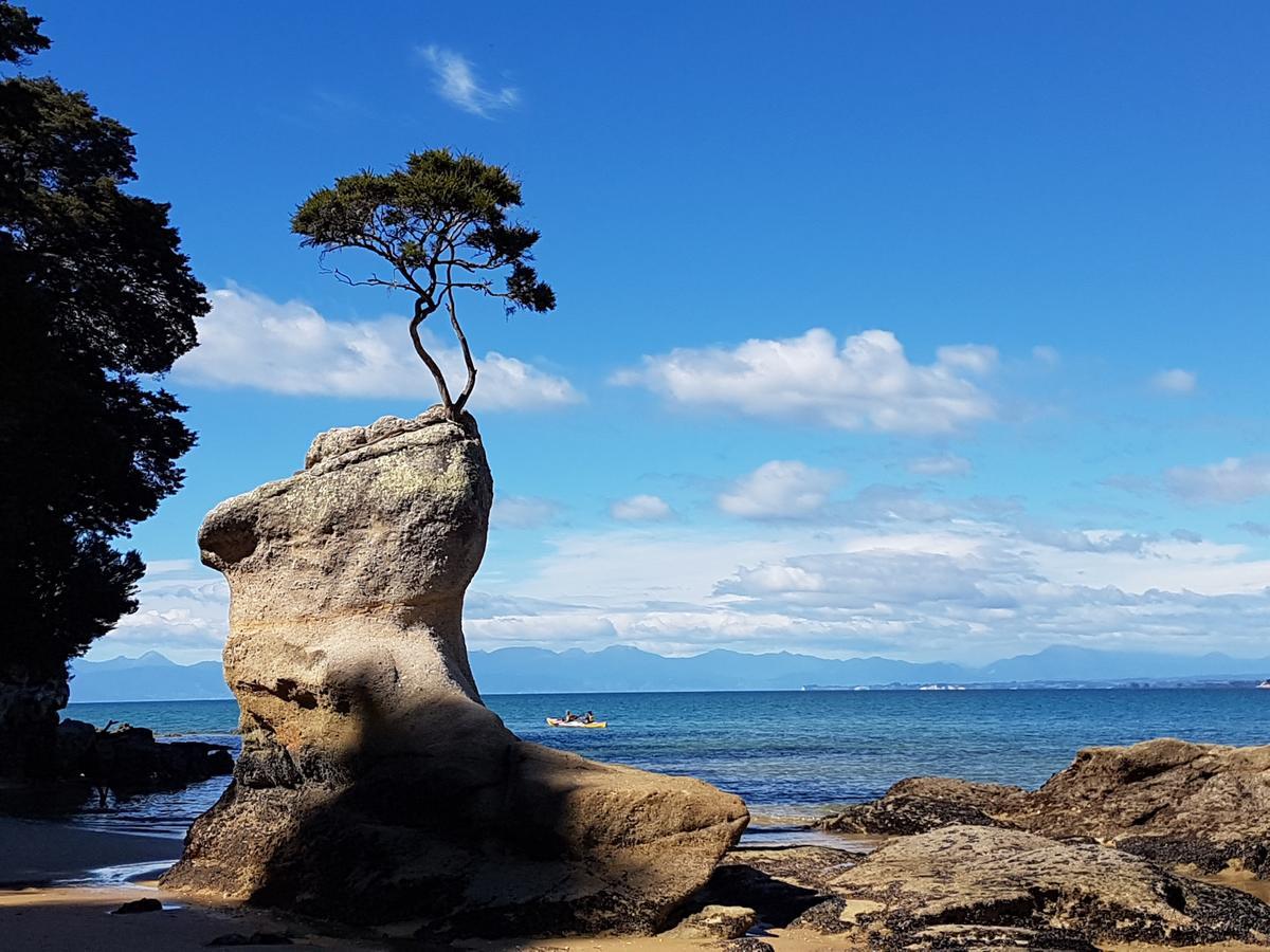 Abel Tasman Sands Bnb Riwaka Zewnętrze zdjęcie